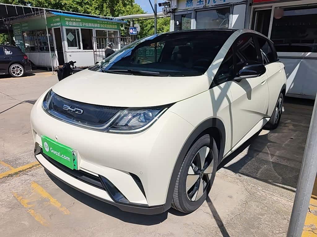 BYD Dolphin