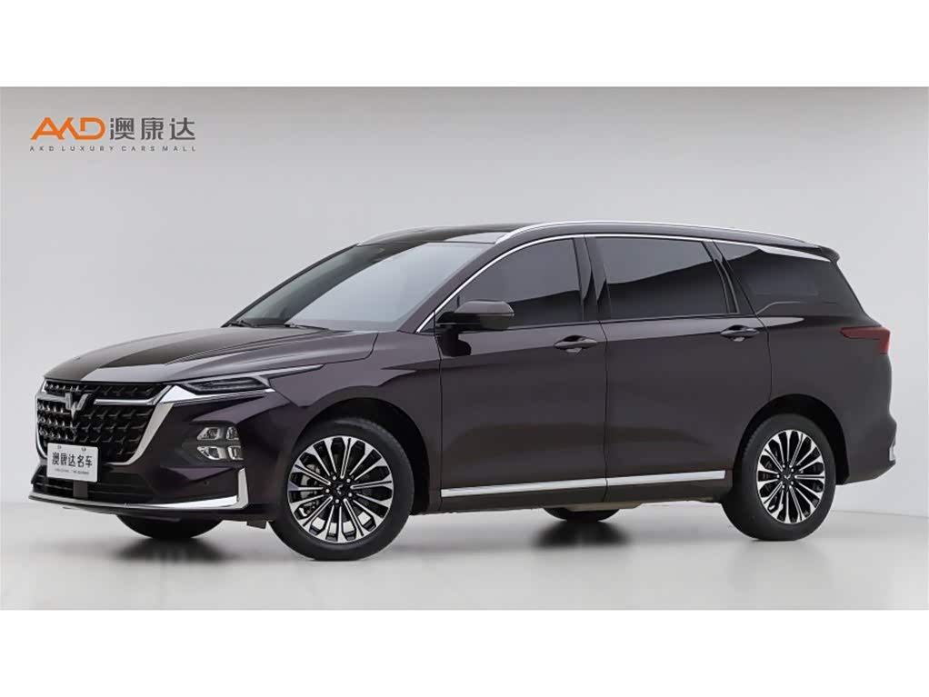 Wuling Victory