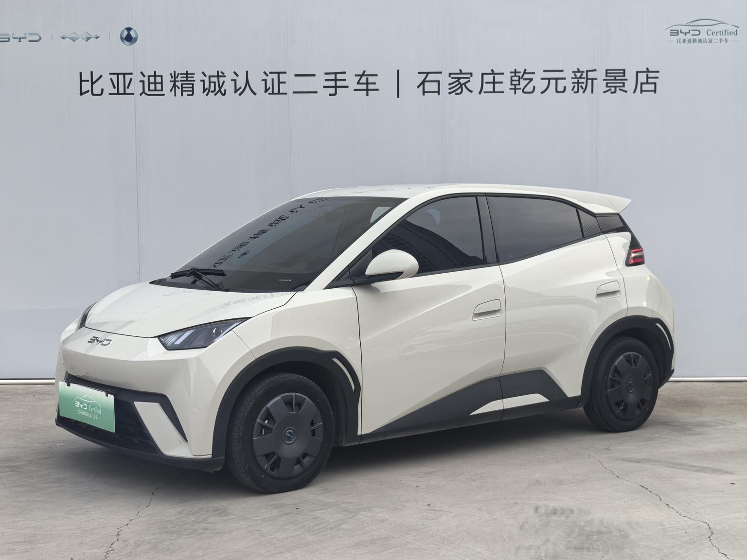 BYD Seagull