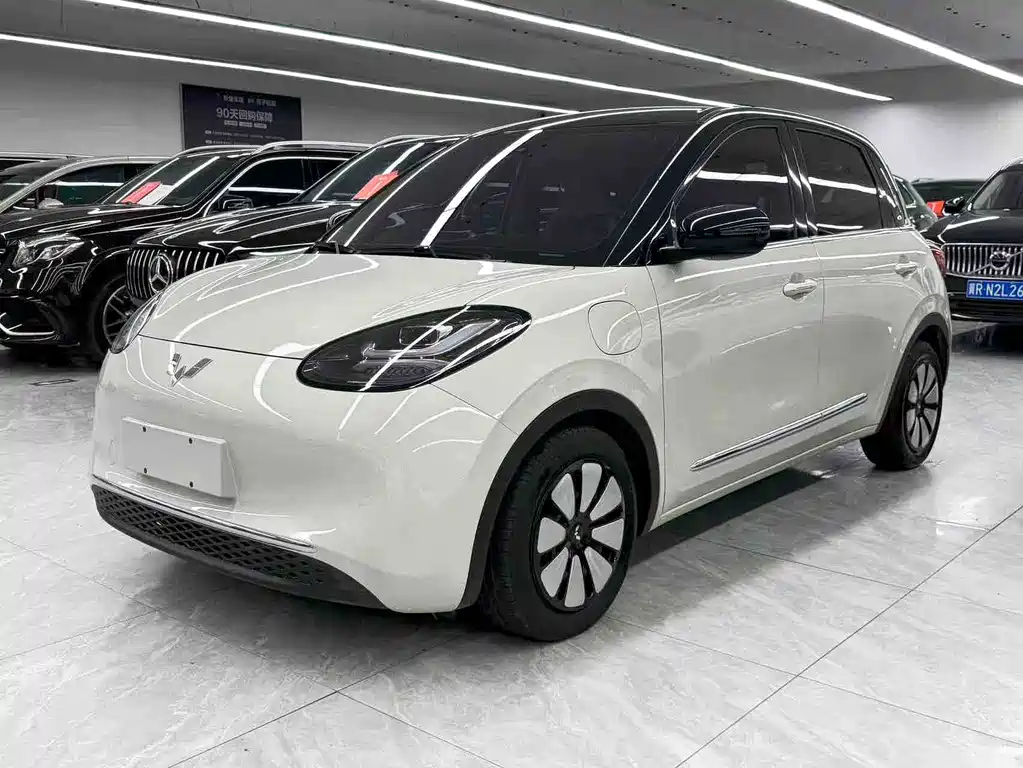 Wuling Binguo