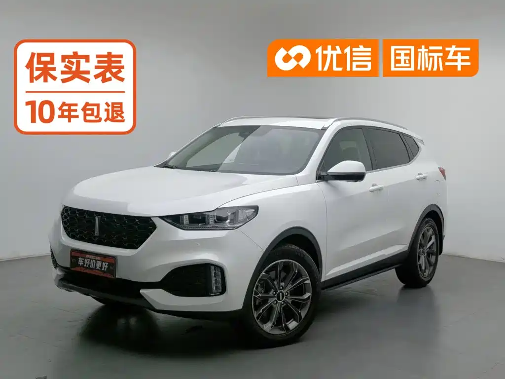 Wey VV6