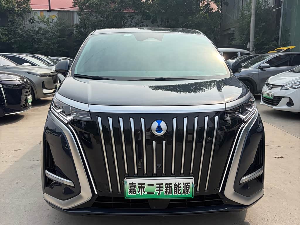 Denza D9