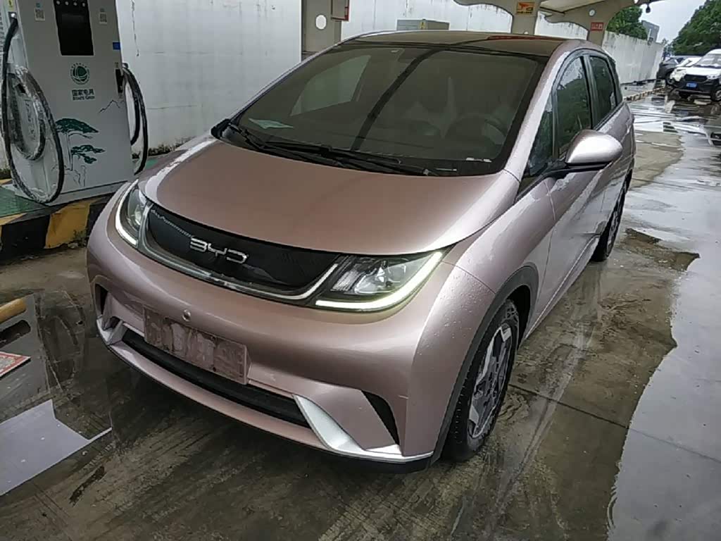 BYD Dolphin