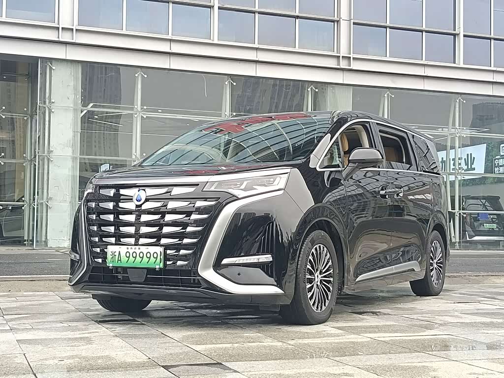 Denza D9