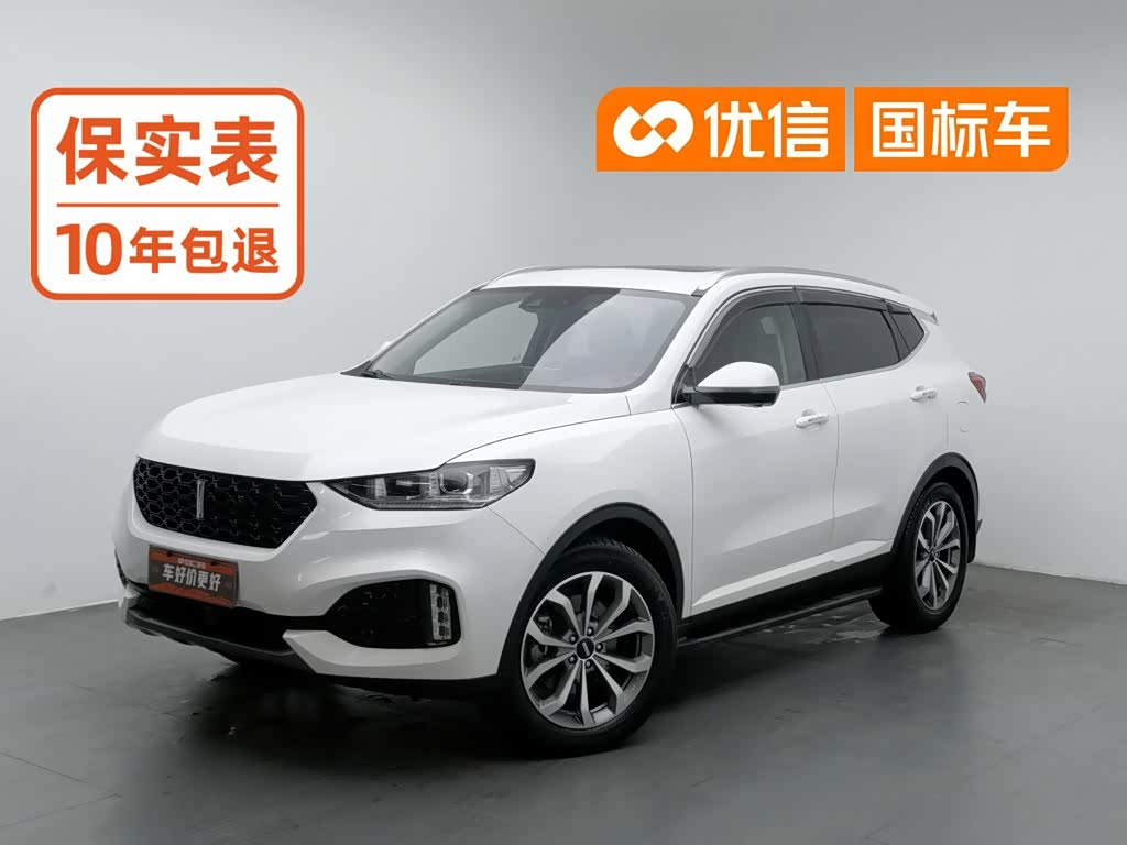 Wey VV6