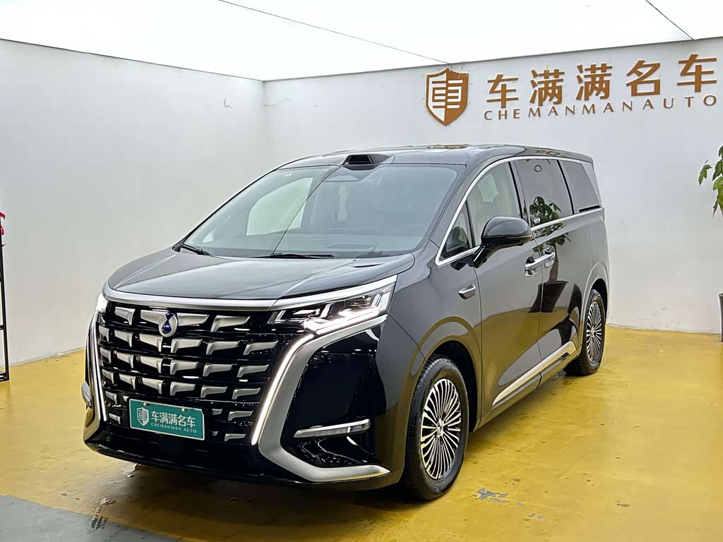 Denza D9