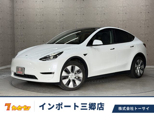 Tesla Y