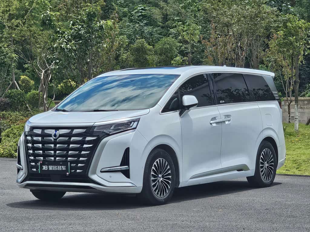 Denza D9