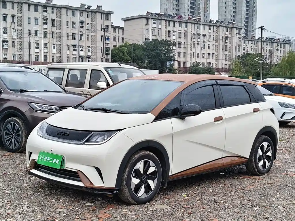 BYD Dolphin