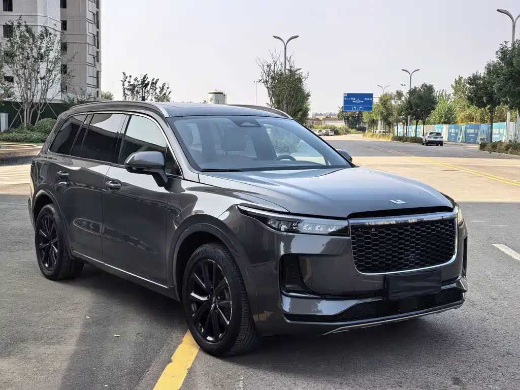 Li Auto ONE