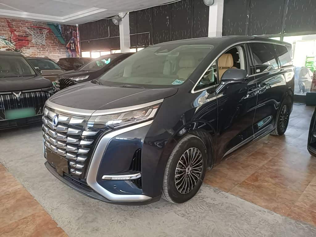 Denza D9