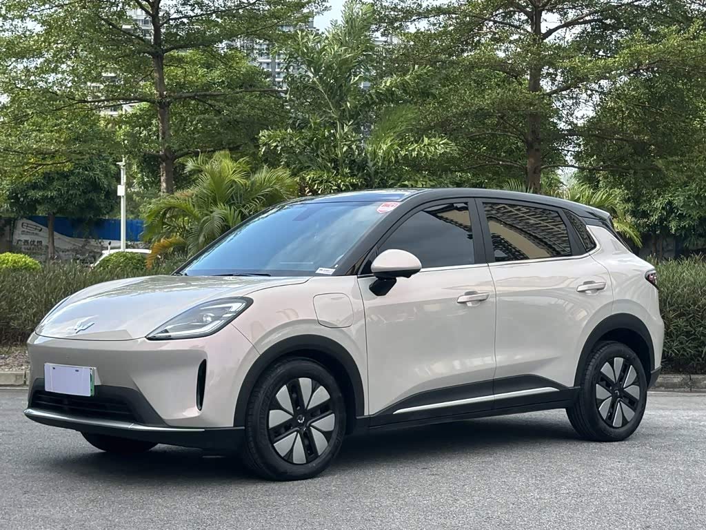 Wuling BinguoS