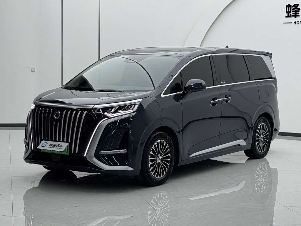 Denza D9
