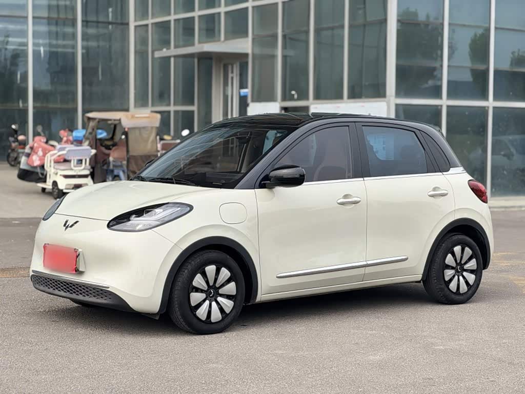 Wuling Binguo