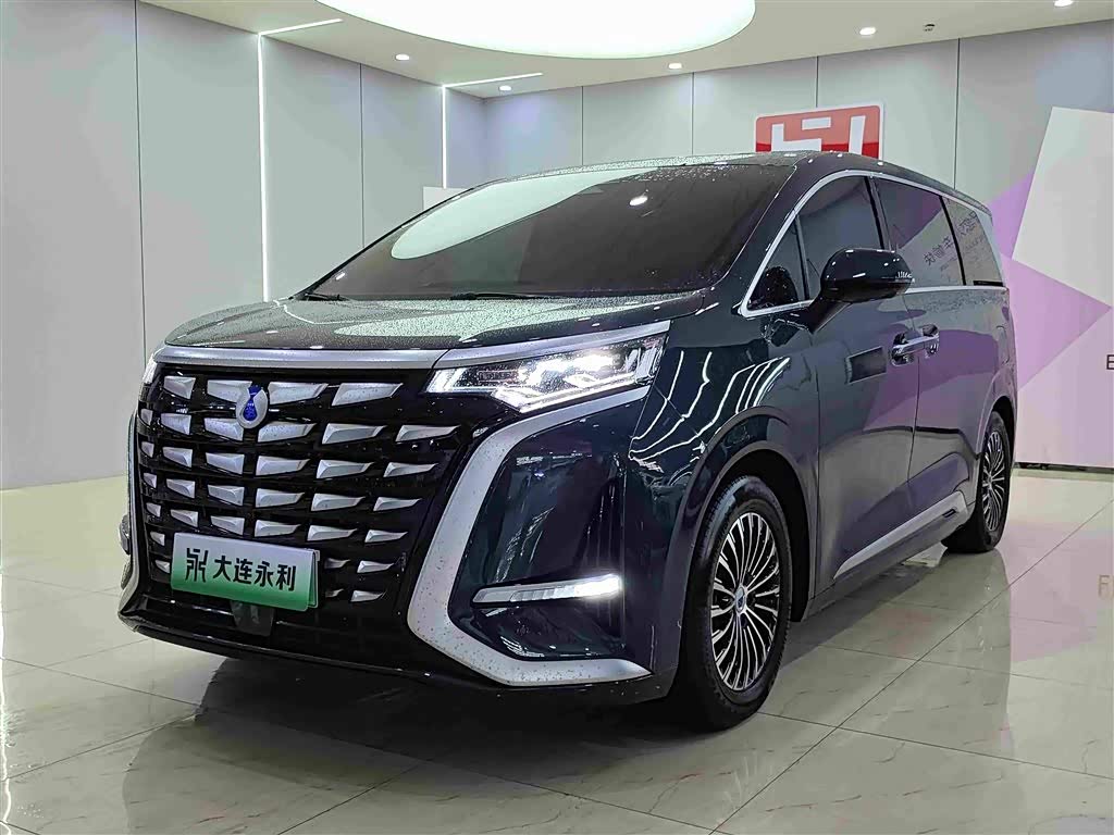 Denza D9