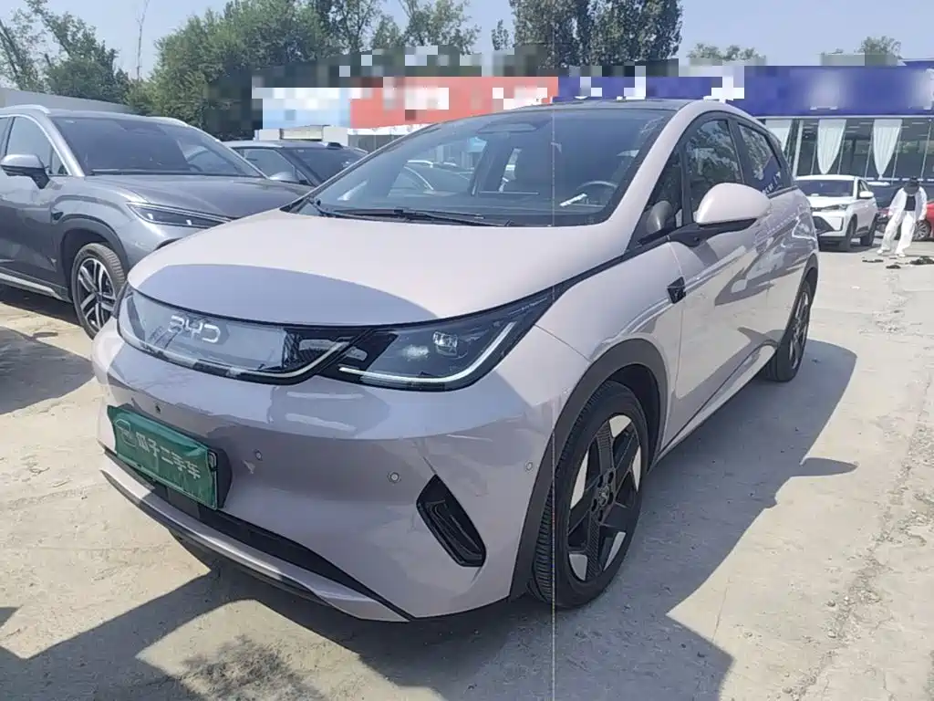 BYD Dolphin
