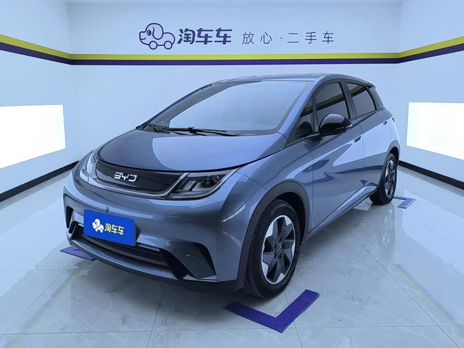 BYD Dolphin