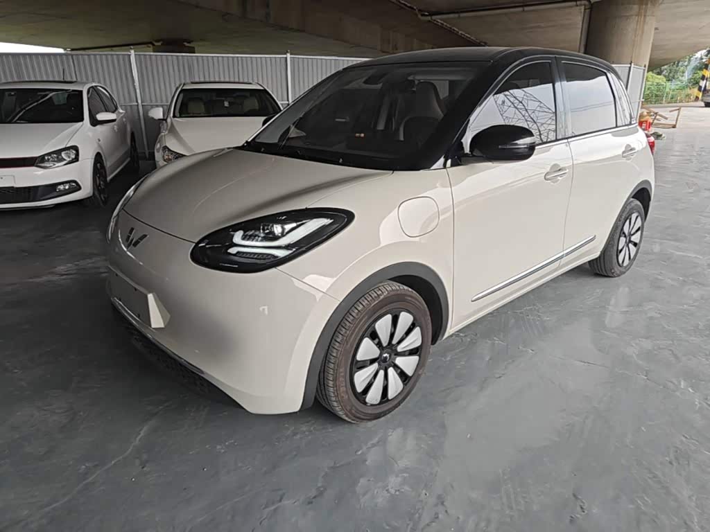 Wuling Binguo