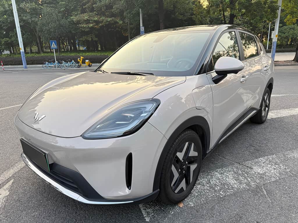 Wuling BinguoS
