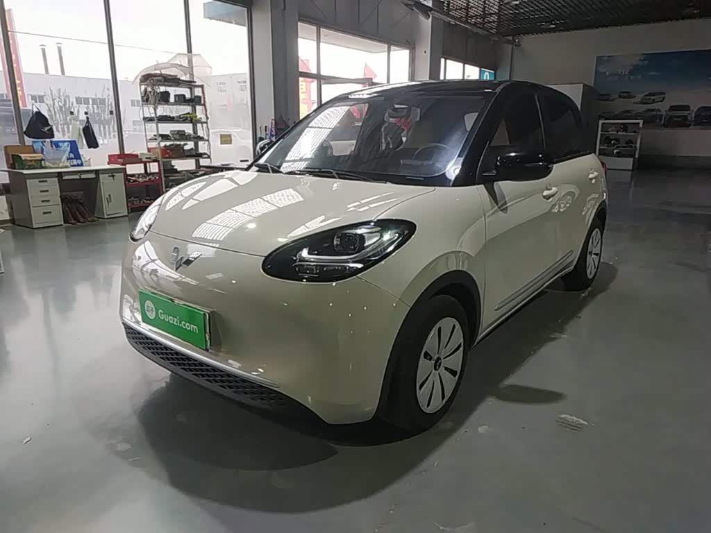 Wuling Binguo