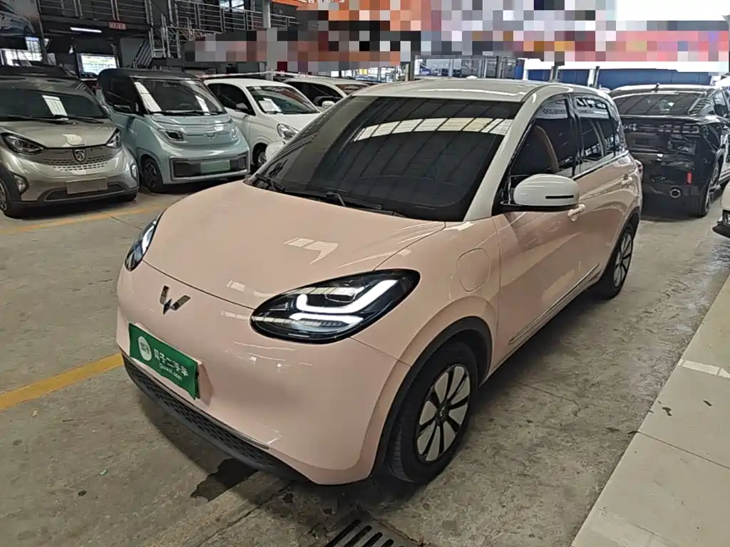 Wuling Binguo