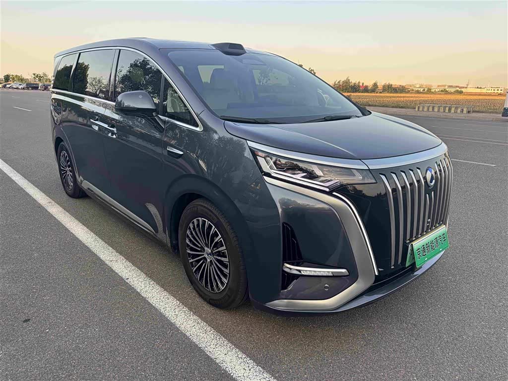 Denza D9