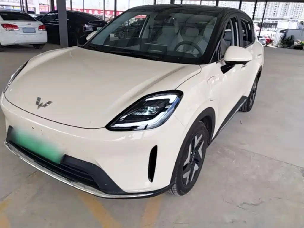 Wuling BinguoS