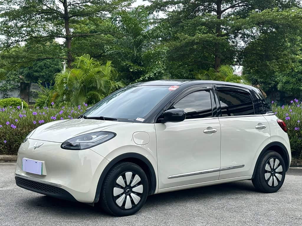 Wuling Binguo
