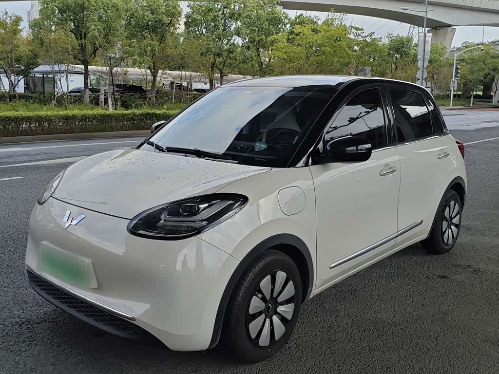 Wuling Binguo