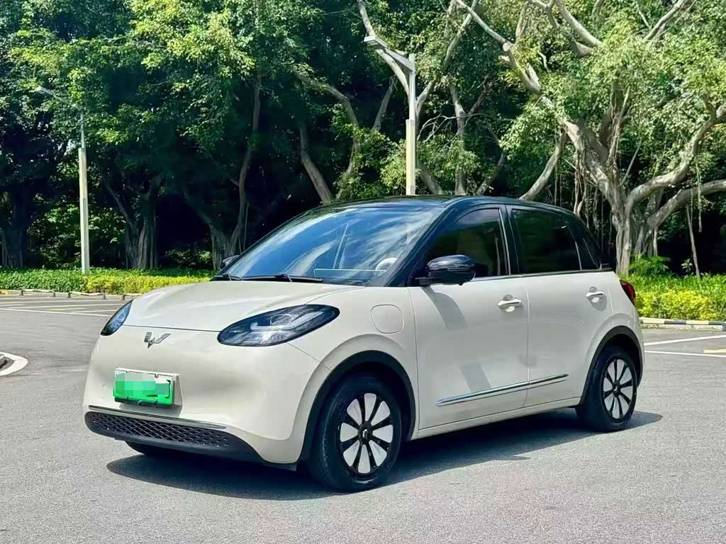 Wuling Binguo