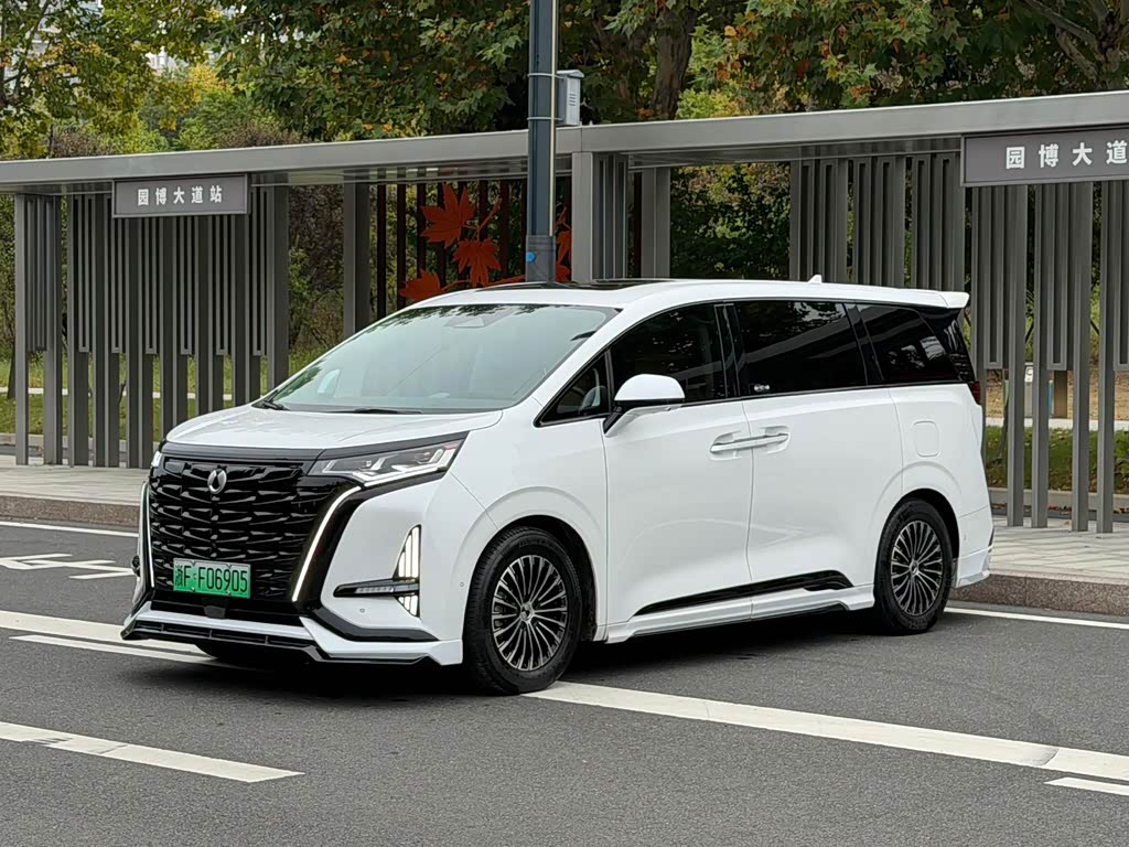 Denza D9