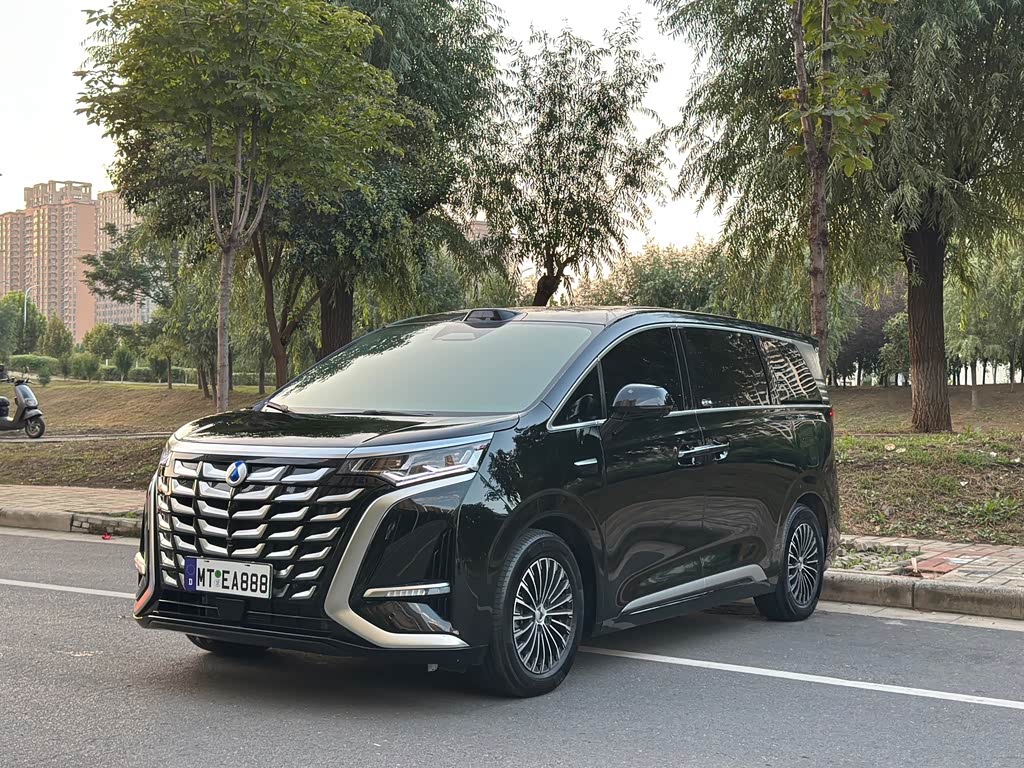 Denza D9