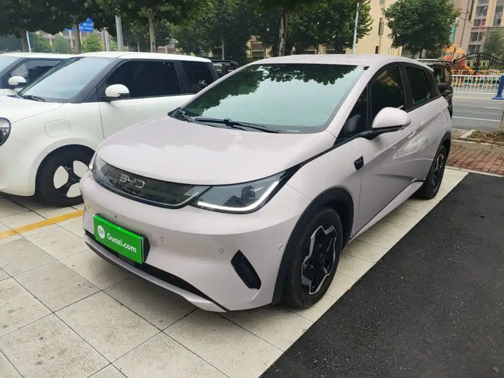 BYD Dolphin