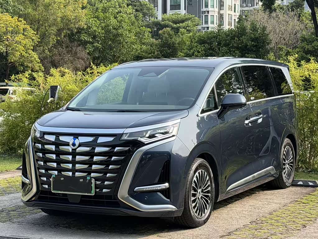 Denza D9