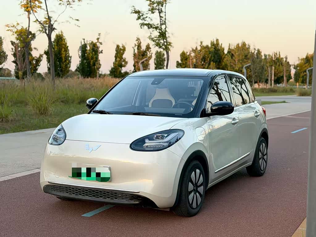 Wuling Binguo