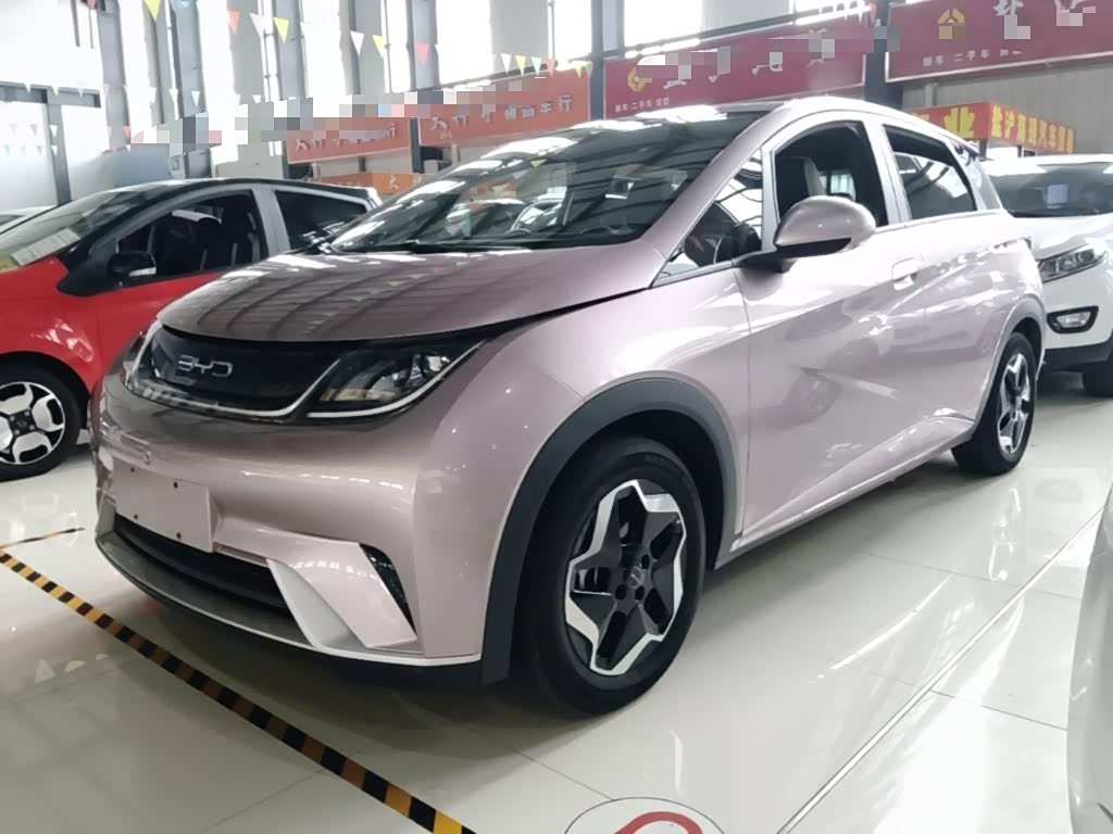 BYD Dolphin