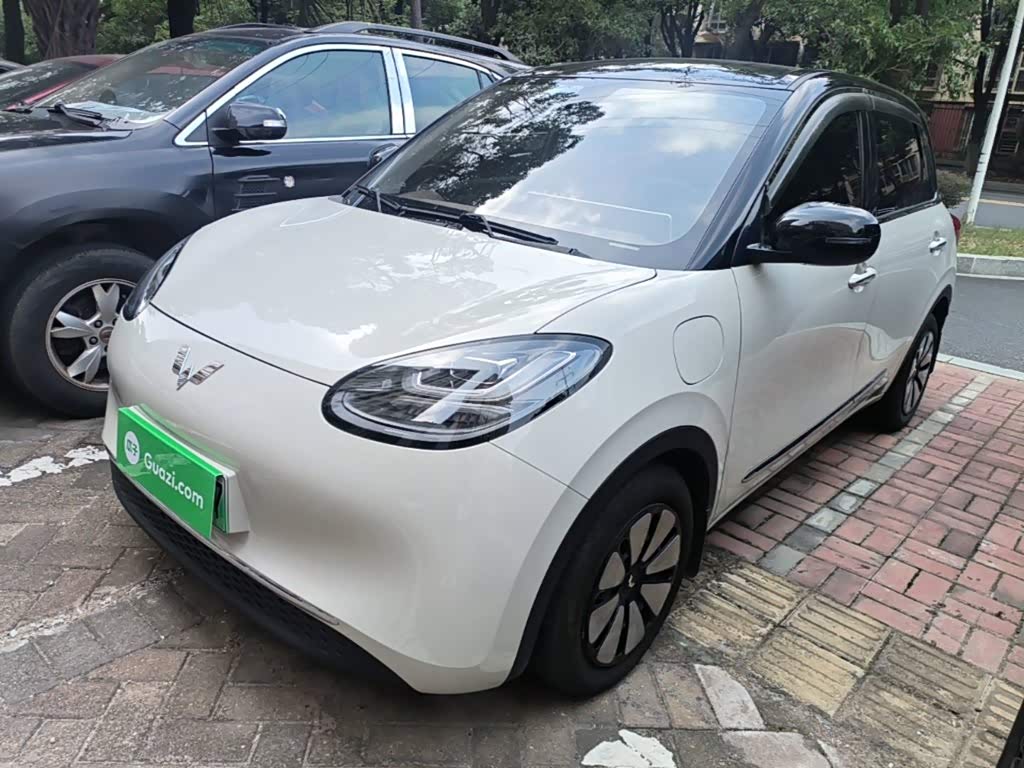Wuling Binguo