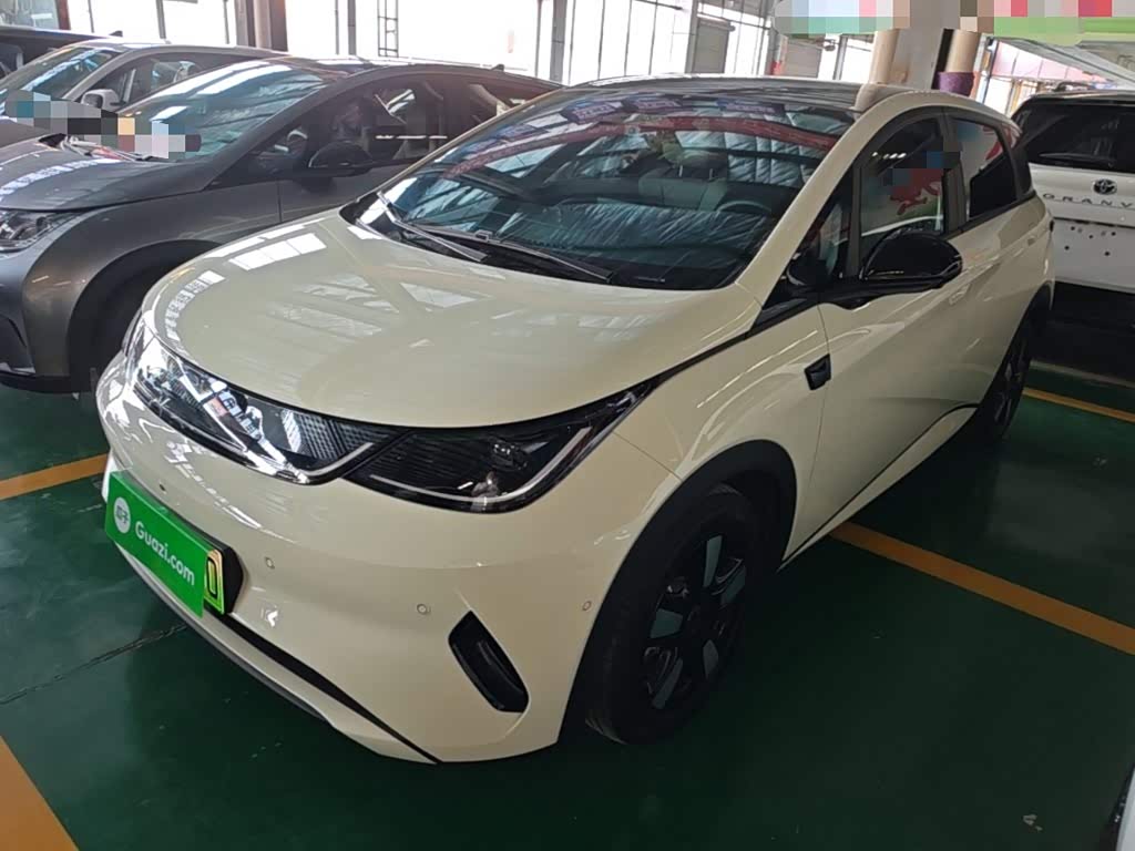 BYD Dolphin