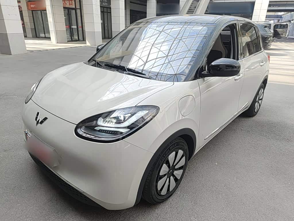 Wuling Binguo