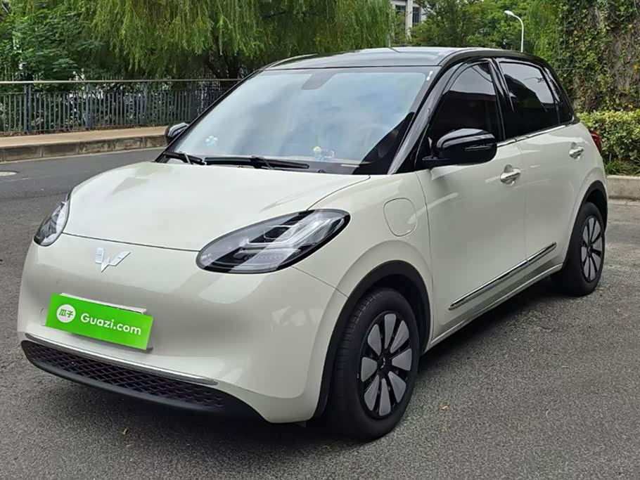 Wuling Binguo
