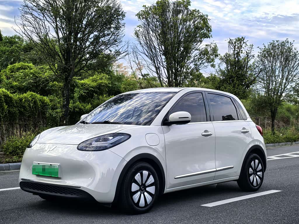 Wuling Binguo