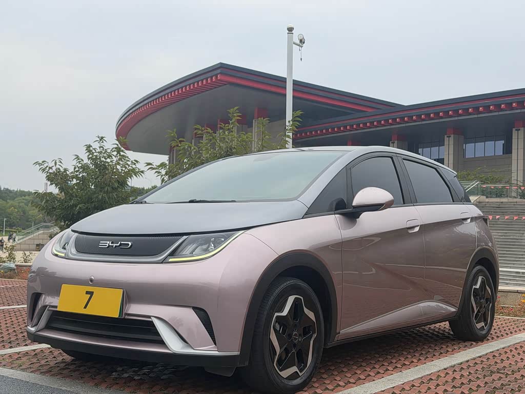BYD Dolphin