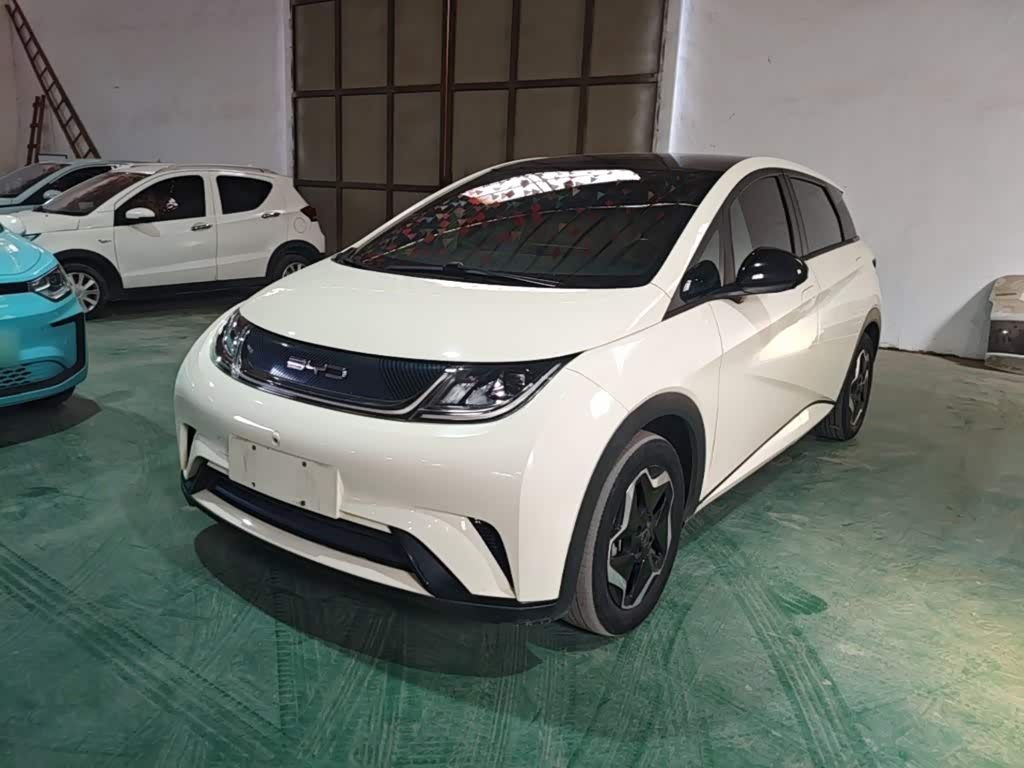BYD Dolphin