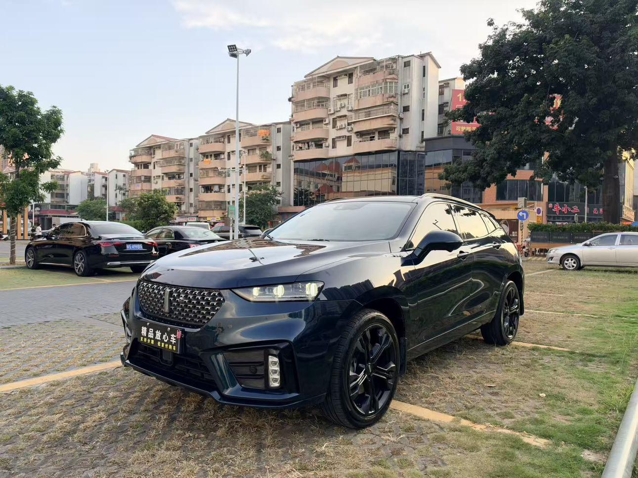 Wey VV7