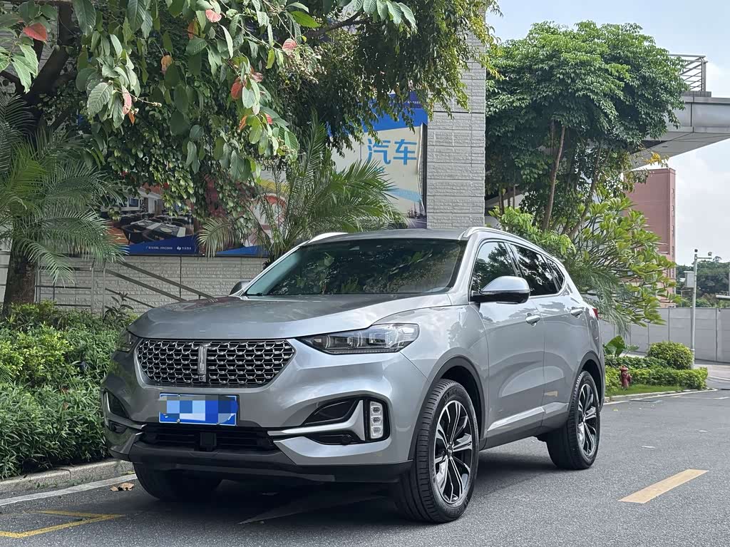 Wey VV6