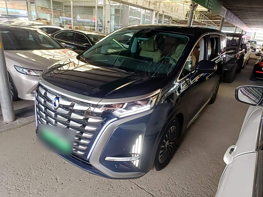 Denza D9