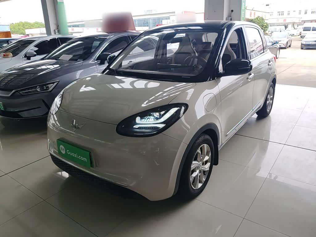 Wuling Binguo