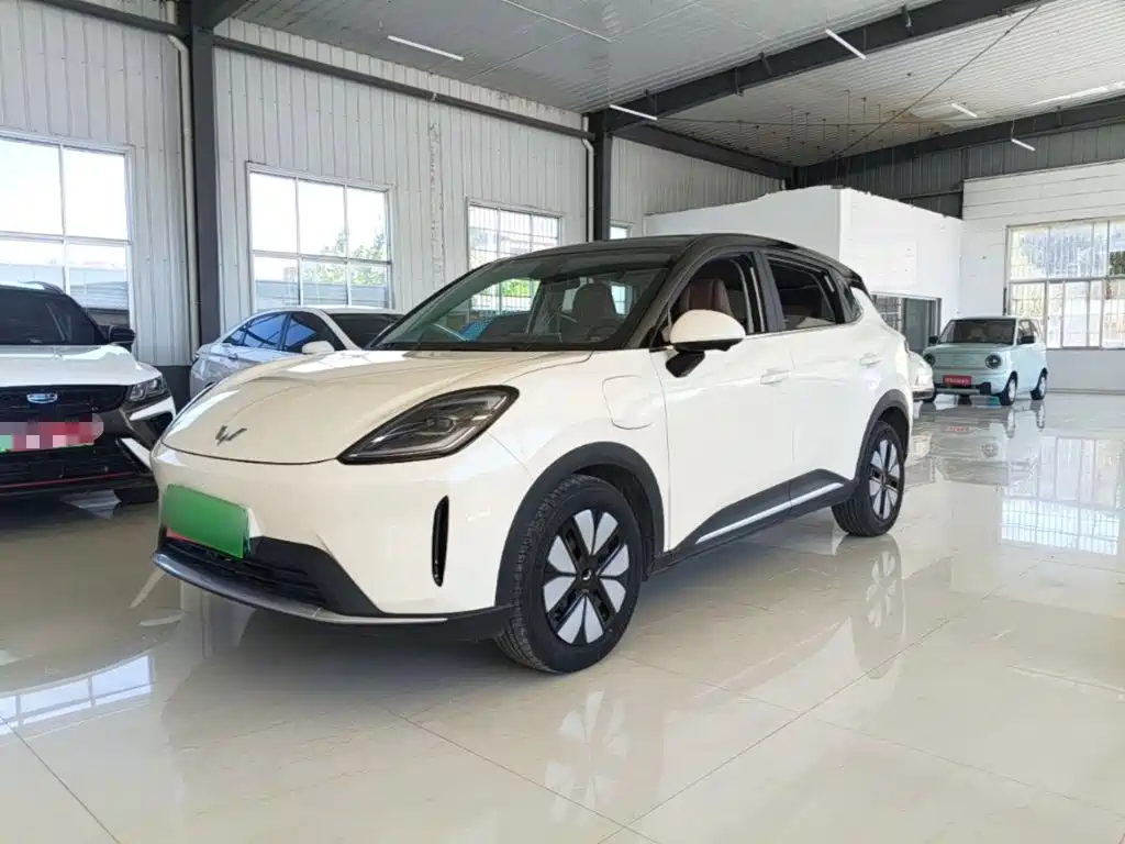 Wuling BinguoS
