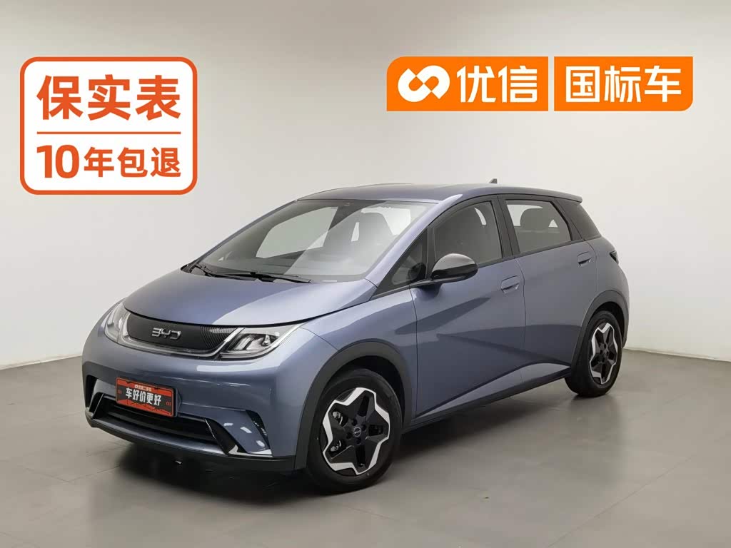 BYD Dolphin