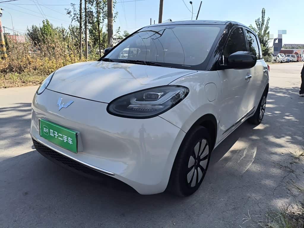 Wuling Binguo
